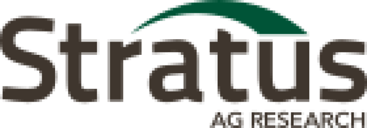 stratus research logo